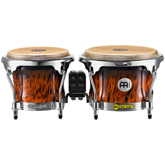List 103+ Images How Many Bongos Are Left In The World Full HD, 2k, 4k
